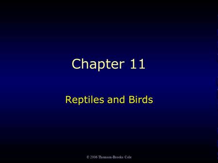 © 2006 Thomson-Brooks Cole Chapter 11 Reptiles and Birds.