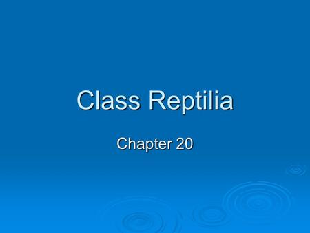 Class Reptilia Chapter 20.