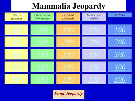 Mammalia Jeopardy 100 200 300 400 500 100 200 300 400 500 100 200 300 400 500 100 200 300 400 500 100 200 300 400 500 General Mammals Marsupials & Monotremes.