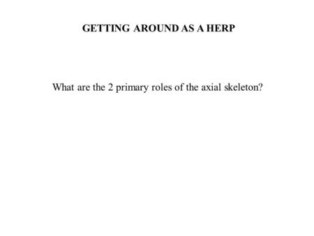 GETTING AROUND AS A HERP What are the 2 primary roles of the axial skeleton?