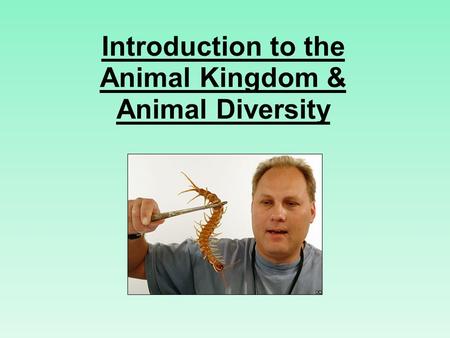 Introduction to the Animal Kingdom & Animal Diversity.