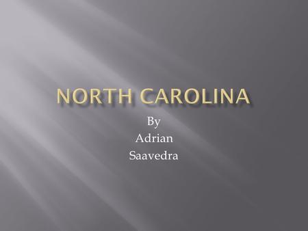 By Adrian Saavedra. Carolina Fish Muddle  2 tablespoons olive oil  1 leek, trimmed. rinsed and thinly sliced  1 celery stalk, trimmed and sliced 