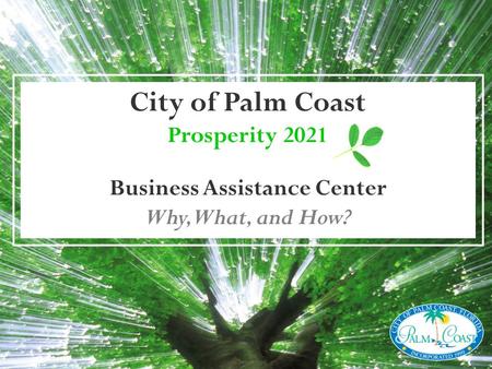 City of Palm Coast Prosperity 2021 Business Assistance Center Why, What, and How?