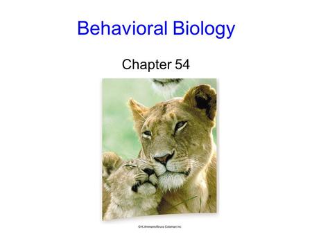 Behavioral Biology Chapter 54