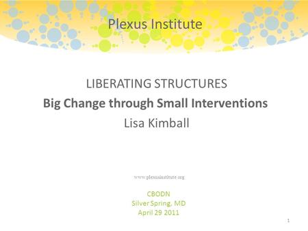 LIBERATING STRUCTURES Big Change through Small Interventions Lisa Kimball CBODN Silver Spring, MD April 29 2011 1 Plexus Institute www.plexusinstitute.org.