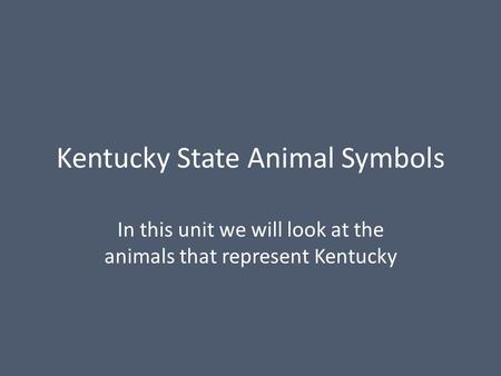 Kentucky State Animal Symbols