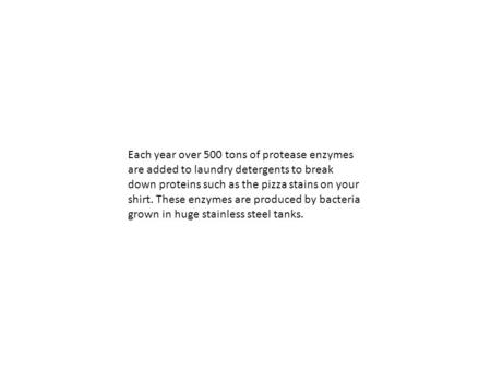 Each year over 500 tons of protease enzymes are added to laundry detergents to break down proteins such as the pizza stains on your shirt. These enzymes.