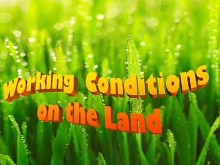 Aims: Examine the reasons why the working and living conditions of agricultural workers were poor in the nineteenth century (1800s).