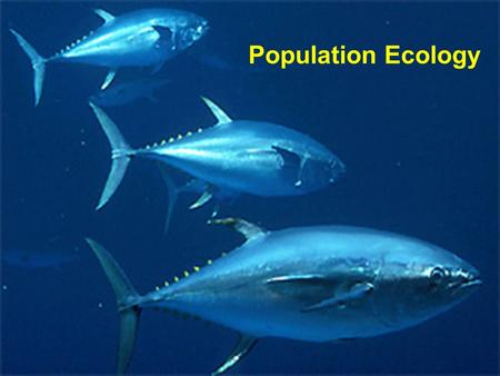 Population Ecology.