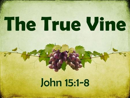 The True Vine John 15:1-8. Symbols: Jesus is the vine The Father is the gardener We are the branches Vs. 1-4 Jesus is the TRUE vine  He is the genuine.