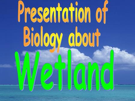 ~ maintenance of biodiversity Wetland provides large amount of food, a place for living and reproduction to animals and plants especially to those.