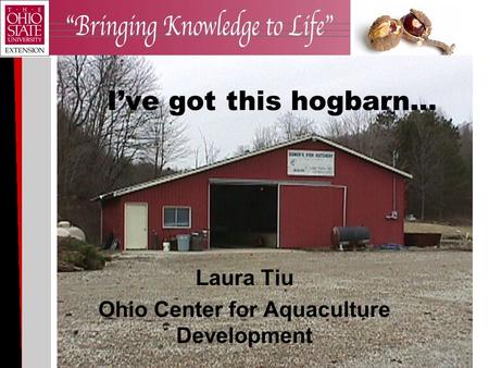 I’ve got this hogbarn… Laura Tiu Ohio Center for Aquaculture Development.