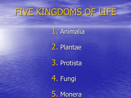 Animalia Plantae Protista Fungi Monera