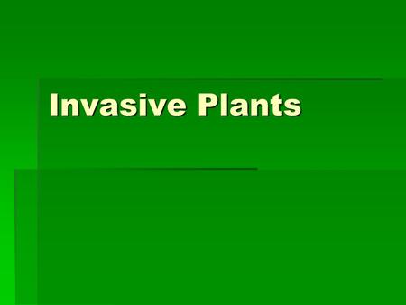 Invasive Plants.