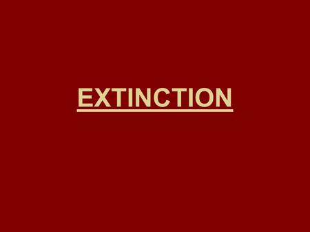 EXTINCTION. Evidence from the past The fossil record remains first and foremost among the databases that document changes in past life on Earth. The fossil.