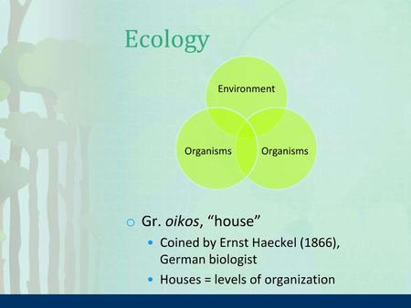 ORGANISM → POPULATION a functioning creature Ex. One squirrel group of organisms of the same species Ex. All the wolves in a specific area.