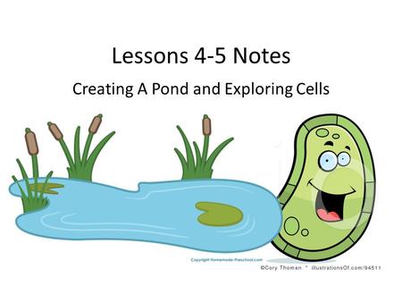 Lessons 4-5 Notes Creating A Pond and Exploring Cells.