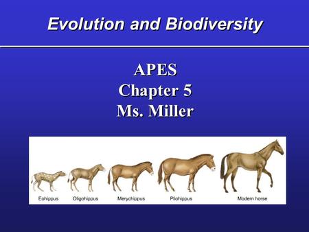 Evolution and Biodiversity