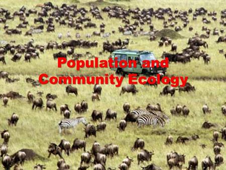 Population and Community Ecology. Complexity POPULATION ECOLOGY.