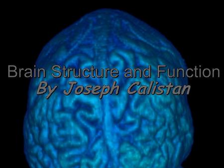 “If the human brain were so simple that we could understand it, we would be so simple that we couldn’t” -Emerson Pugh, The Biological Origin of Human.