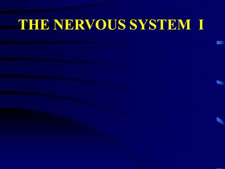 THE NERVOUS SYSTEM I. The study of nervous system histology could easily comprise the entire subject matter of this course and a couple more. Thus, we.