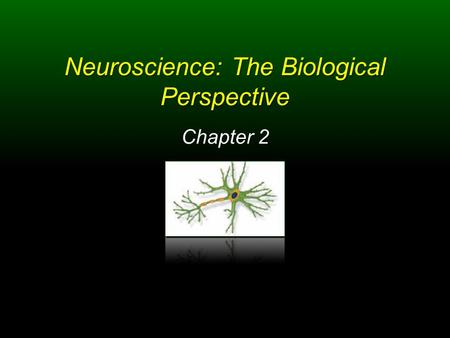 Neuroscience: The Biological Perspective