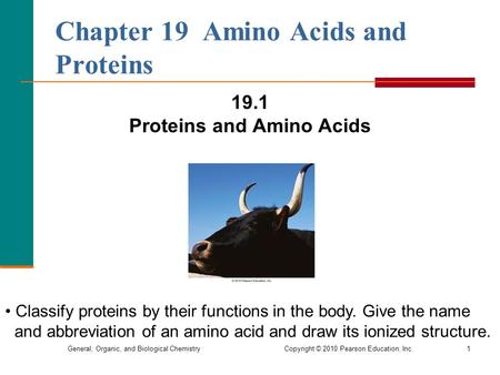 Chapter 19 Amino Acids and Proteins