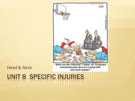 Head & Neck.  Cranium – protects brain.  Frontal  Parietal (2)  Occipital  Temporal (2)  Facial  Mandible  Maxille (2)  Zygomatic (2)  Nasal.