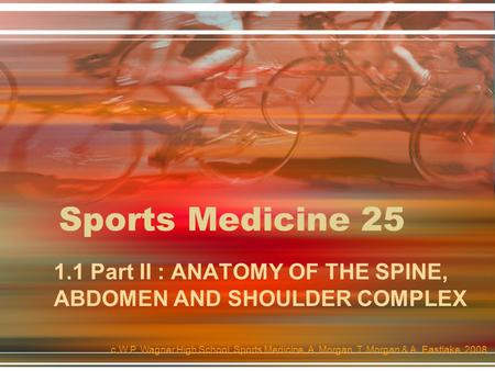 1.1 Part II : ANATOMY OF THE SPINE, ABDOMEN AND SHOULDER COMPLEX