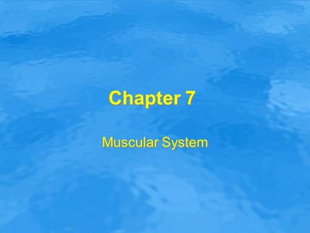 Chapter 7 Muscular System.