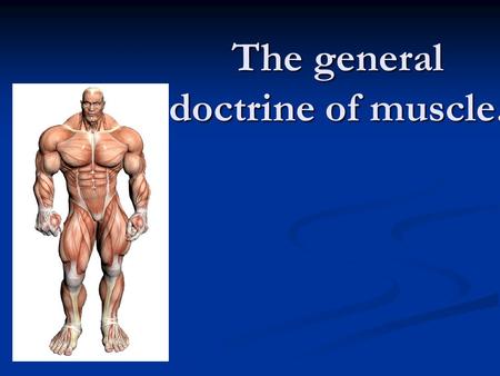 The general doctrine of muscle.