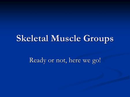 Skeletal Muscle Groups