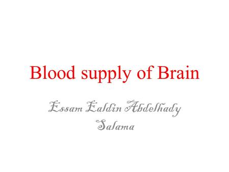 Essam Ealdin Abdelhady Salama