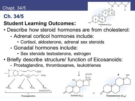 Student Learning Outcomes: