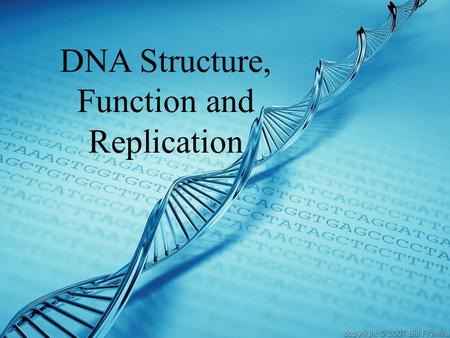 DNA Structure, Function and Replication