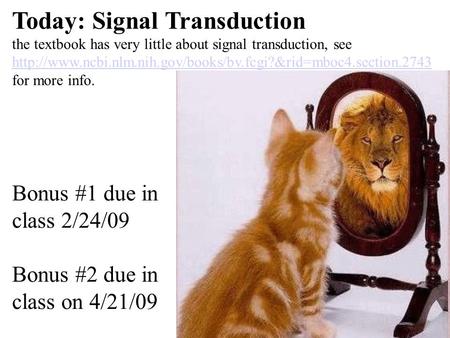 Today: Signal Transduction the textbook has very little about signal transduction, see