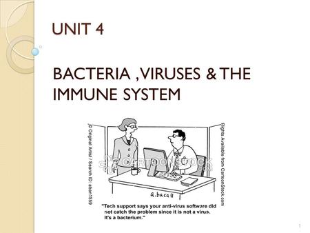 UNIT 4 BACTERIA, VIRUSES & THE IMMUNE SYSTEM 1. BACTERIA 2.