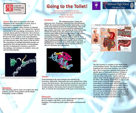 SlyA function in Salmonella Enterica Authors: Period 6 Research Methods SD3R-02 Teacher: Ms. Ross Mentor: Dr. Bonneau Abstract: SlyA plays an important.