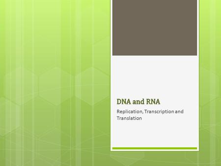 Replication, Transcription and Translation