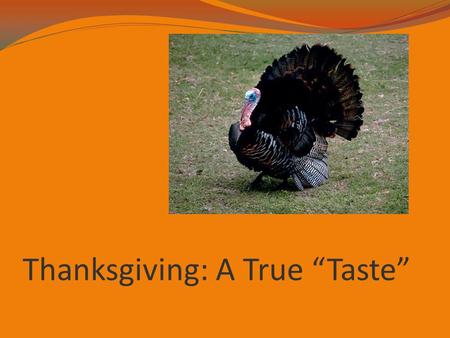 Thanksgiving: A True “Taste”