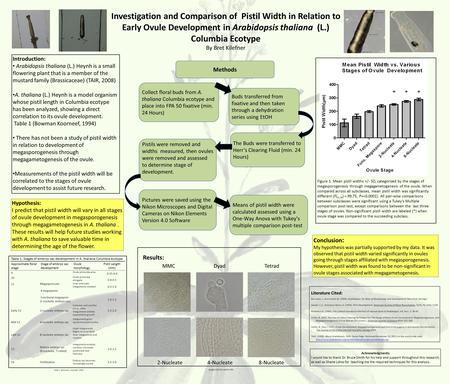 Investigation and Comparison of Pistil Width in Relation to Early Ovule Development in Arabidopsis thaliana (L.) Columbia Ecotype By Bret Kilefner gregorylab.bio.upenn.edu.