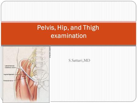 S.Sattari,MD Pelvis, Hip, and Thigh examination. pelvic ring protects vital internal structures.