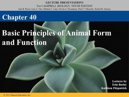 LECTURE PRESENTATIONS For CAMPBELL BIOLOGY, NINTH EDITION Jane B. Reece, Lisa A. Urry, Michael L. Cain, Steven A. Wasserman, Peter V. Minorsky, Robert.