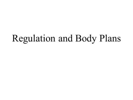 Regulation and Body Plans