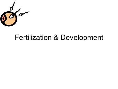 Fertilization & Development