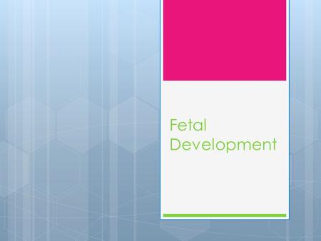 Fetal Development. The Placenta  Mammalian structure that functions in gas, nutrient, and waste exchange between the embryo (later fetus)and mother’s.