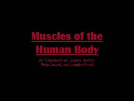 Muscles of the Human Body