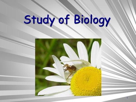 Study of Biology.