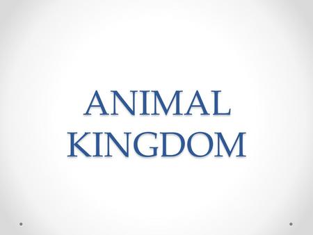 ANIMAL KINGDOM. INVERTEBRATE ANIMALS Occupy all terrestrial and aquatic ecosystems 34 phyla We will be studying: 1.Sponges and Cnidarians 2.Worms 3.Molluscs.