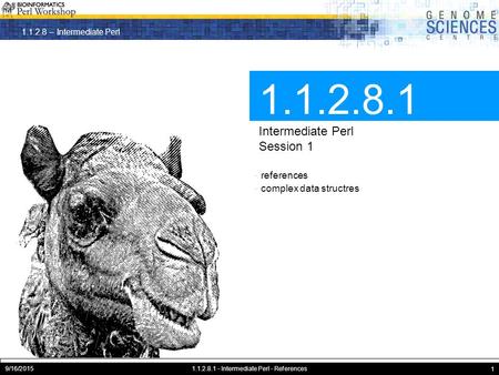 1.1.2.8 – Intermediate Perl 9/16/20151.1.2.8.1 - Intermediate Perl - References 1 1.1.2.8.1 Intermediate Perl Session 1 · references · complex data structres.